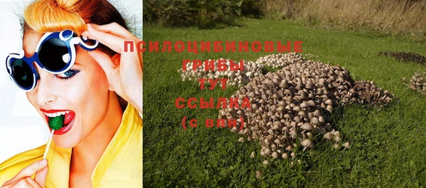 дмт Костерёво