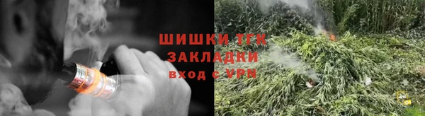 дмт Костерёво
