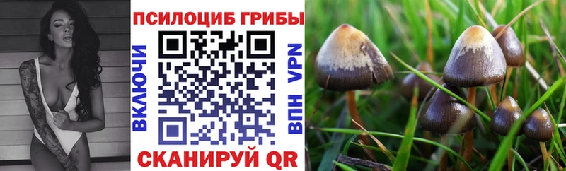 как найти   площадка Telegram  Галлюциногенные грибы мухоморы  Конаково 